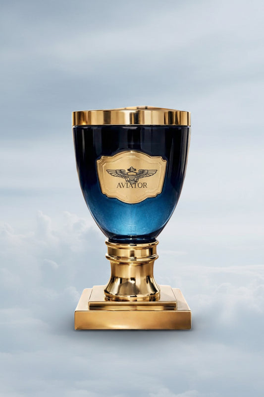 AVIATOR F22 EDP 100ML By ZAKAT